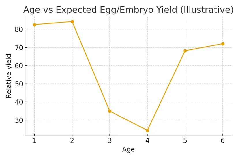 Own Eggs vs Donor Eggs — Decision Framework — illustrative.