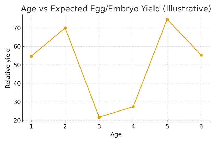 Managing Diminished Ovarian Reserve — Practical Steps — illustrative.