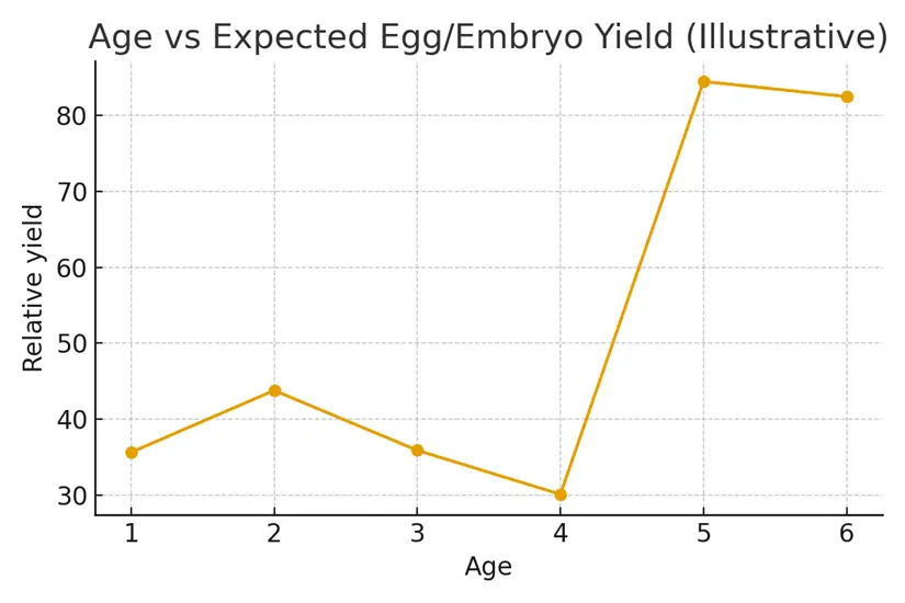 When to Move to Donor or Embryo Donation — illustrative.