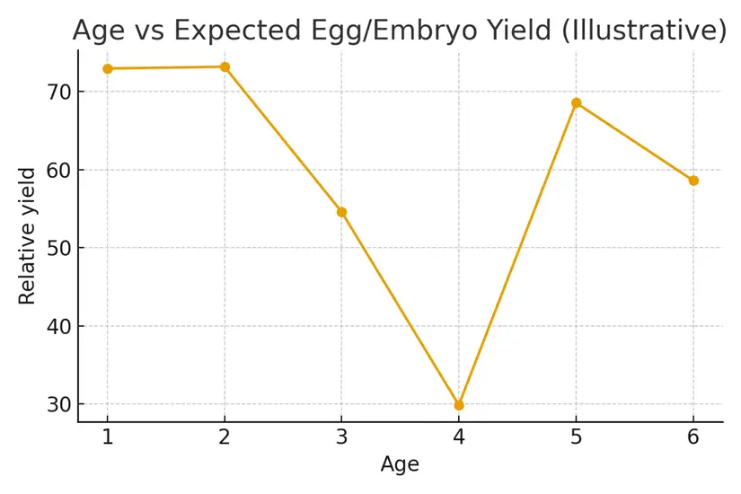 Financial Planning for Multi‑Cycle Journeys — illustrative.