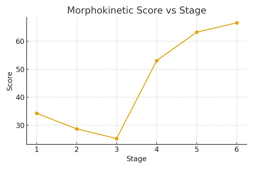 Time‑Lapse Morphokinetics (EmbryoScope) — Dual Guide
