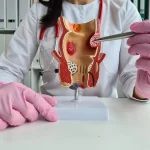 Fills the space after a hysterectomy