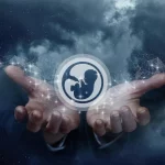 Why Surrogacy4All Is Ranked