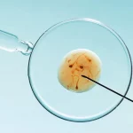 Blastocysts