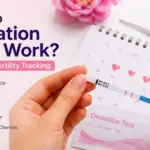 How Do Ovulation Tests Work