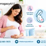 become a surrogate mother