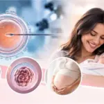 Assisted Reproductive Technology